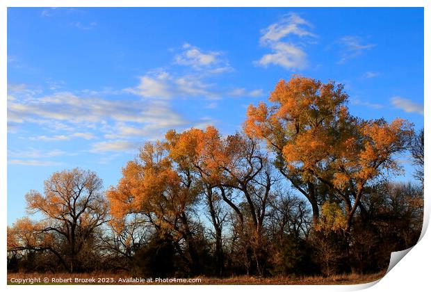 Fall leaves on trees with blue sky and clouds Print by Robert Brozek