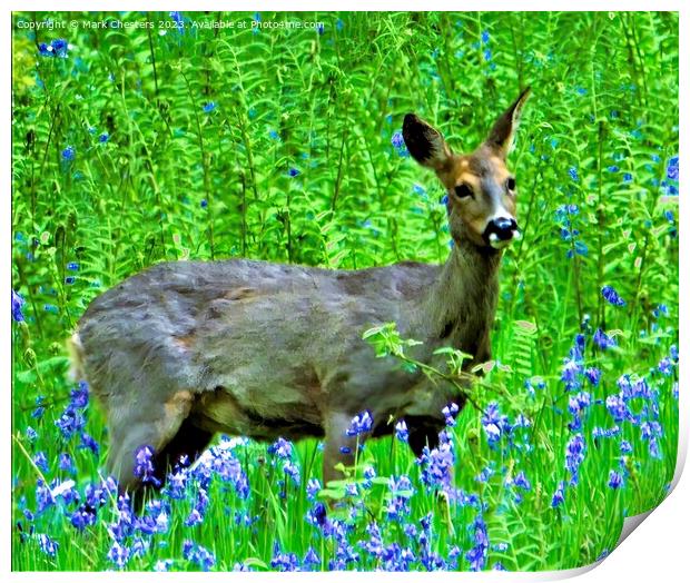 Majestic Deer Amidst Bluebells Print by Mark Chesters
