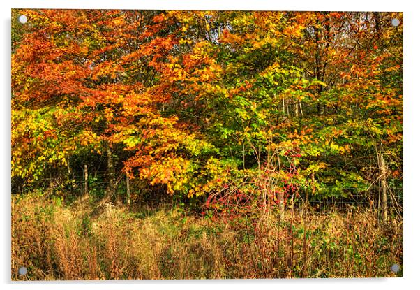 Autumn Acrylic by Steve Purnell