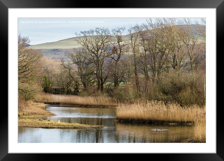 The Spinnies Nature Reserve Bangor Framed Mounted Print by Pearl Bucknall