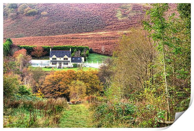 The Mine Managers House Print by Steve Purnell