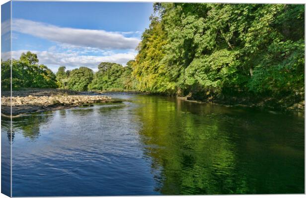 River Swale Canvas Print by Steve Smith