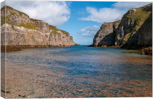 Enchanting Smoo Cave Inlet Canvas Print by Steve Smith