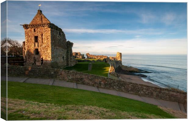 St Andrews Castle Canvas Print by Steve Smith