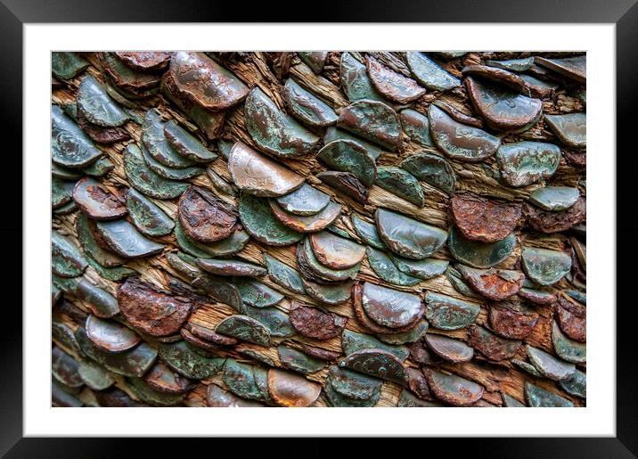 Grows On Trees Framed Mounted Print by Steve Smith