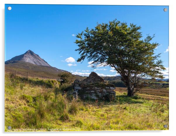 Majestic Mount Errigal Acrylic by jim Hamilton
