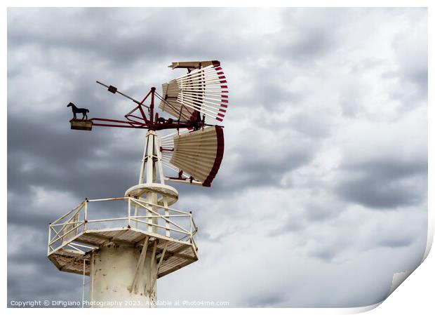 Catch The Wind Print by DiFigiano Photography