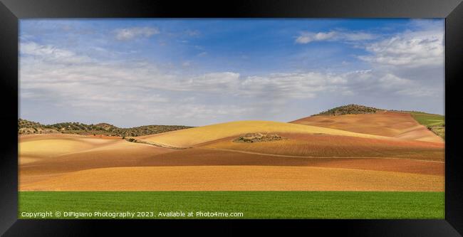 Campillos Framed Print by DiFigiano Photography