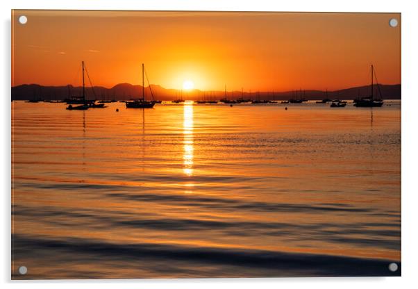 Golden Sunrise Serenade Acrylic by Tim Hill