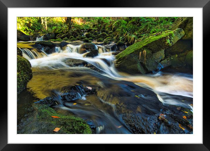 Majestic Autumnal Serenity Framed Mounted Print by Tim Hill