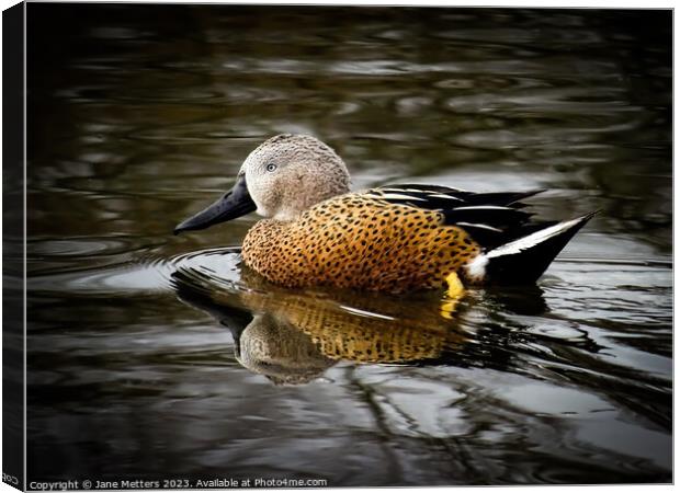 Red Shoveler Canvas Print by Jane Metters