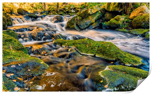 Yorkshire Dales Stream Print by Tim Hill
