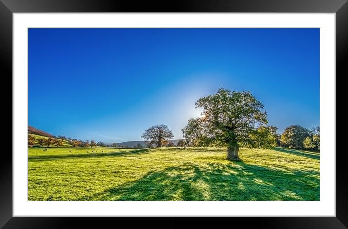 Yorkshire Dales Meadow Framed Mounted Print by Tim Hill