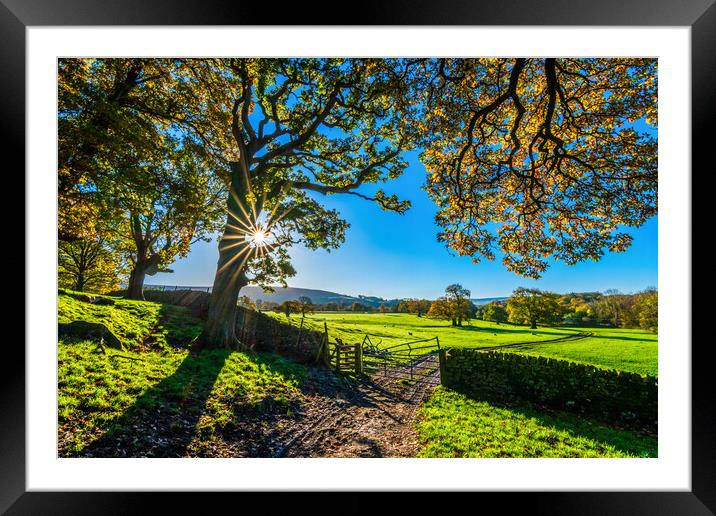 Farm Gate in the Yorkshire Dales at Sunrise Framed Mounted Print by Tim Hill