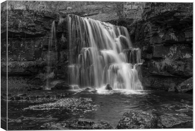 East Gill Force Canvas Print by Steve Smith