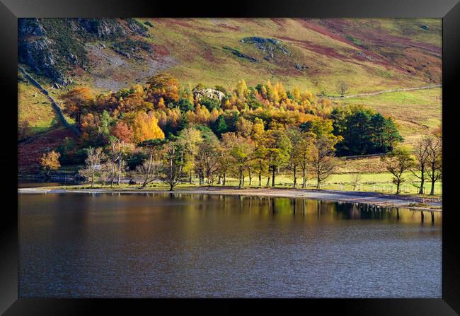 Autumn In Buttermere Framed Print by Steve Smith