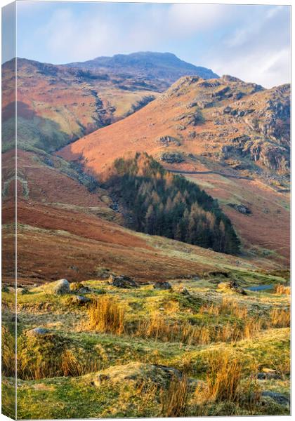Great Langdale leading to Pike Of Blisco Canvas Print by Tim Hill