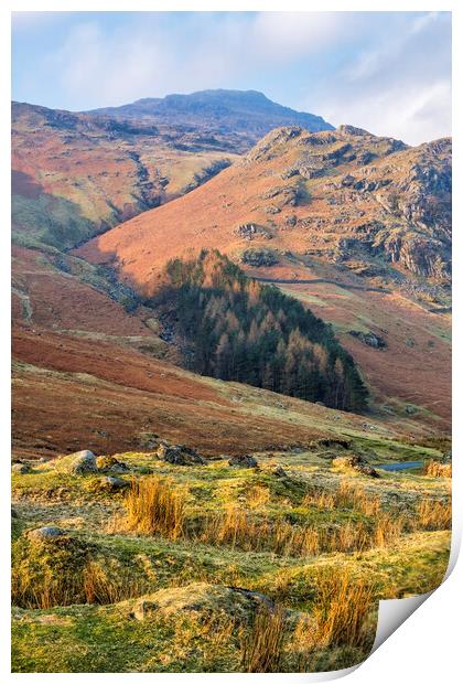 Great Langdale leading to Pike Of Blisco Print by Tim Hill