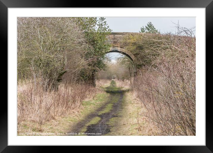 The Tees Railway Path at Cotherstone Framed Mounted Print by Richard Laidler