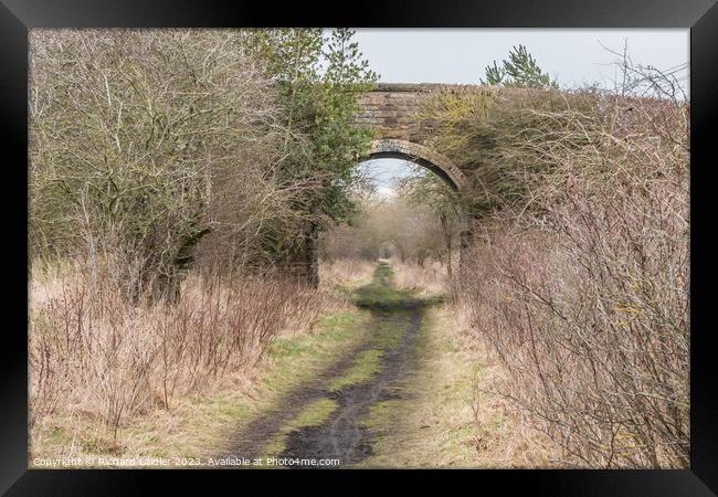 The Tees Railway Path at Cotherstone Framed Print by Richard Laidler