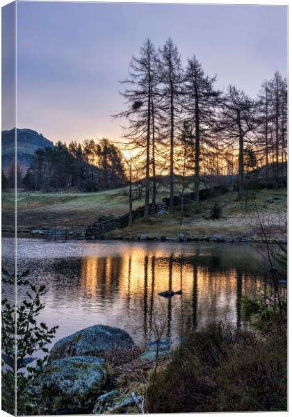 Blea Tarn, Little Langdale valley, Lake District Canvas Print by Tim Hill