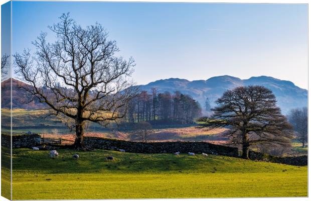 Elterwater Landscape The Lakes Cumbria Canvas Print by Tim Hill