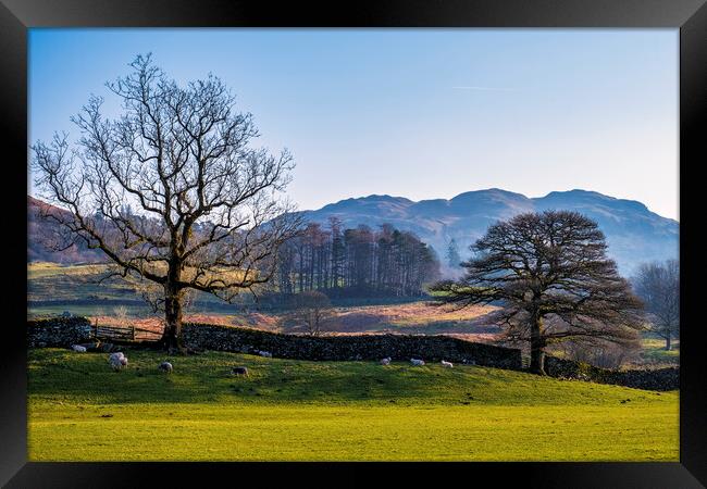 Elterwater Landscape The Lakes Cumbria Framed Print by Tim Hill