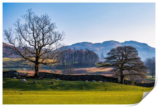 Elterwater Landscape The Lakes Cumbria Print by Tim Hill