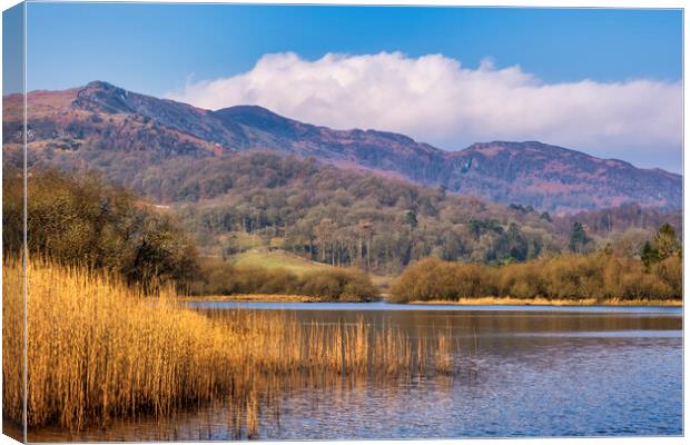 Elterwater Lake District National Park Canvas Print by Tim Hill