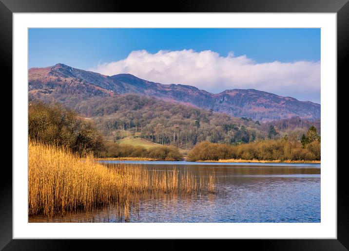 Elterwater Lake District National Park Framed Mounted Print by Tim Hill