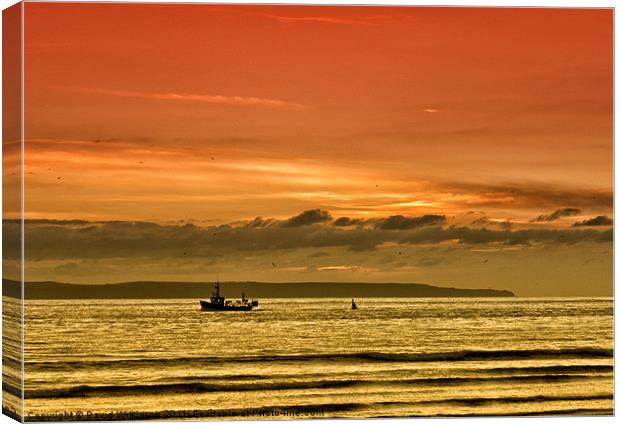 Home with the catch Canvas Print by Dave Wilkinson North Devon Ph