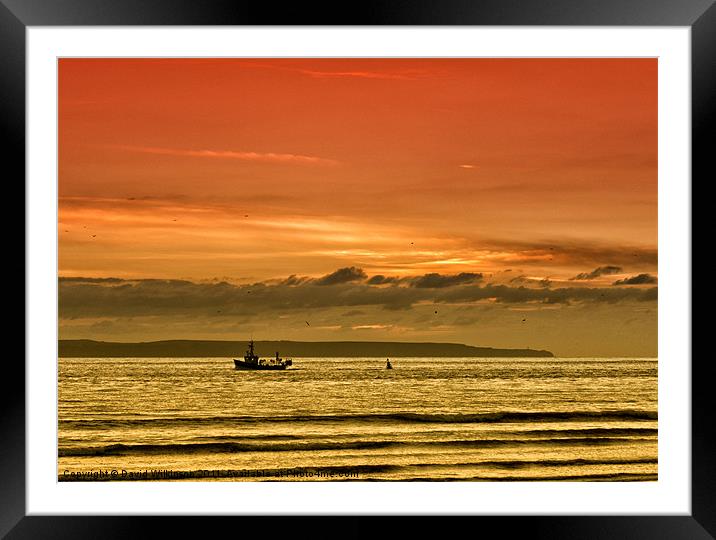 Home with the catch Framed Mounted Print by Dave Wilkinson North Devon Ph