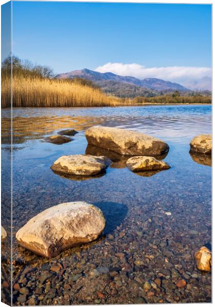 Elterwater Scene Lake District Canvas Print by Tim Hill