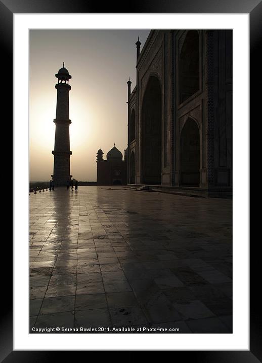 Taj Mahal in the Morning Light Framed Mounted Print by Serena Bowles