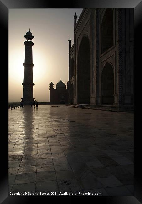 Taj Mahal in the Morning Light Framed Print by Serena Bowles