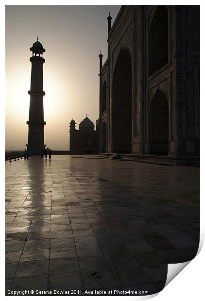 Taj Mahal in the Morning Light Print by Serena Bowles