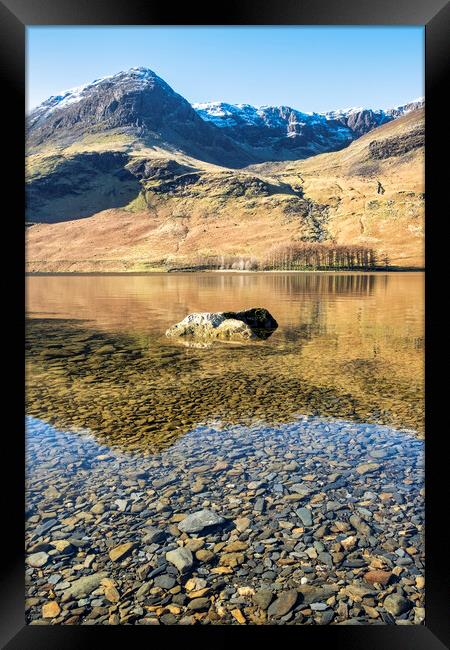Buttermere pines, fells and mountains Framed Print by Tim Hill