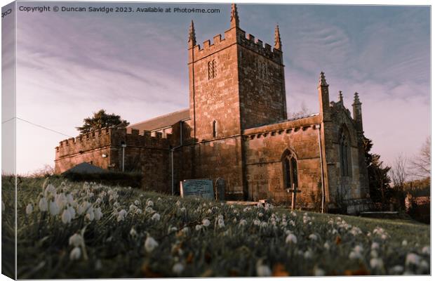 Snowdrops at St Peters church Englishcombe  Canvas Print by Duncan Savidge
