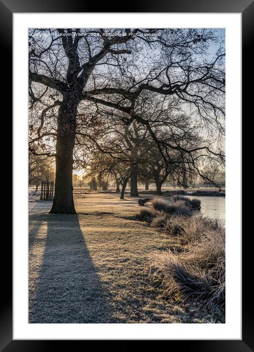 Long winter shadows on a cold frosty morning Framed Mounted Print by Kevin White
