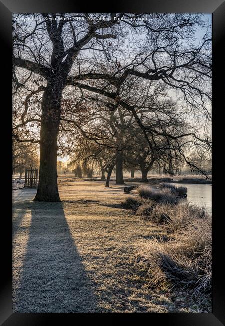 Long winter shadows on a cold frosty morning Framed Print by Kevin White
