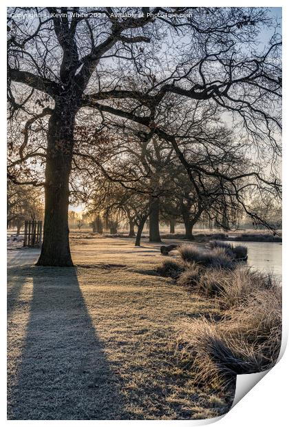 Long winter shadows on a cold frosty morning Print by Kevin White