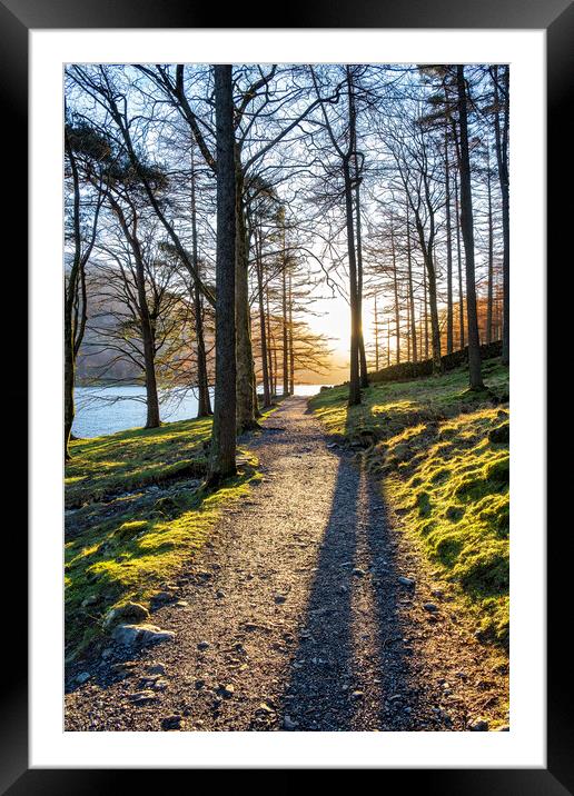 Majestic Sunrise in Buttermere Forest Framed Mounted Print by Tim Hill
