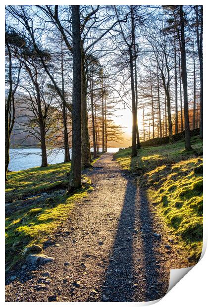Majestic Sunrise in Buttermere Forest Print by Tim Hill