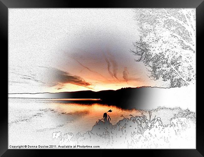 Focus on the sunset Framed Print by Donna Duclos