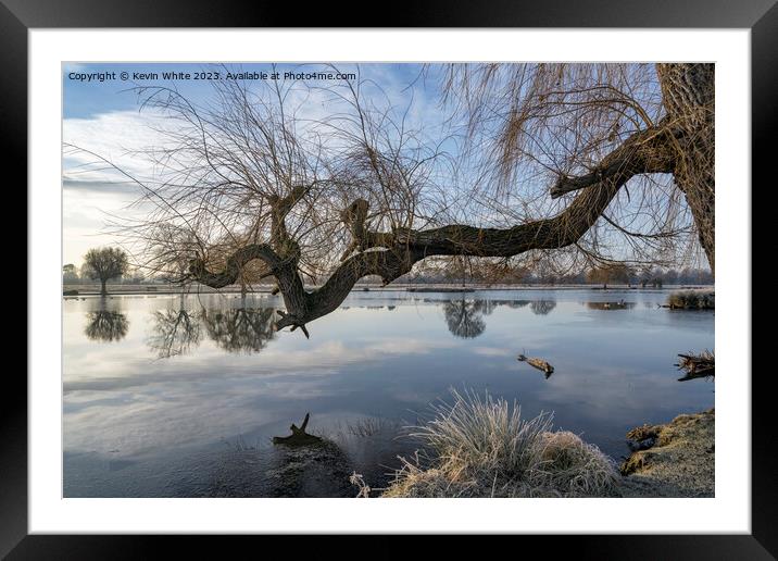 Old Weeping Willow tree branch reaching out over pond Framed Mounted Print by Kevin White
