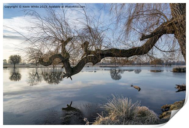 Old Weeping Willow tree branch reaching out over pond Print by Kevin White