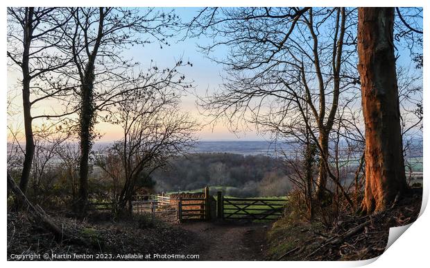 Gateway to Dovers Hill Print by Martin fenton