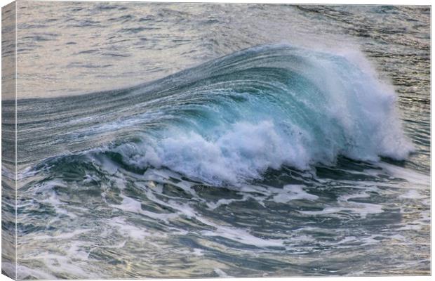Curling wave Canvas Print by kelly Draper