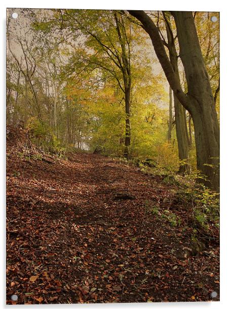 Autumn in Brantingham Woods Acrylic by Sarah Couzens