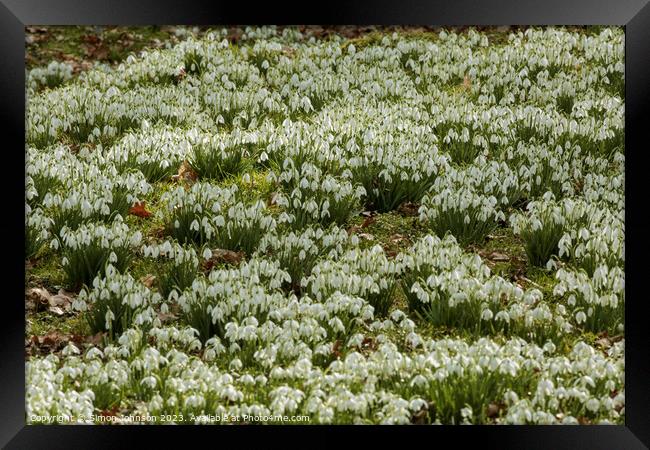 Outdoor field Framed Print by Simon Johnson